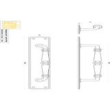 Carlisle Brass Door Furniture Polished Brass / Pull Handle (Backplate) Carlisle Brass - Ornate Pull Handle - Polished Brass