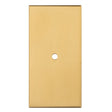 Carlisle Brass Cabinet Hardware Satin Brass / Cabinet Knob on Backplate Carlisle Brass - Rectangular Cupboard knob Backplate