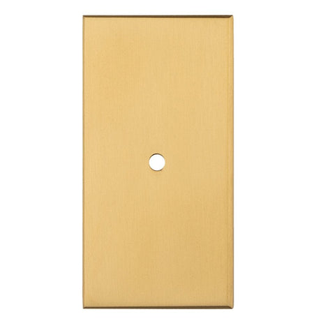 Carlisle Brass Cabinet Hardware Satin Brass / Cabinet Knob on Backplate Carlisle Brass - Rectangular Cupboard knob Backplate