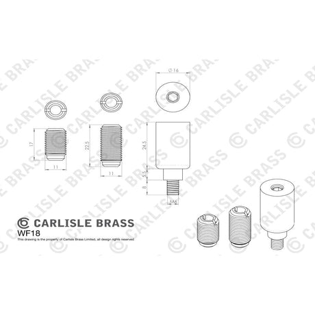 Carlisle Brass Window Furniture Polished Brass / Locking Sash Stops Carlisle Brass - Sash Window Stop - Polished Brass