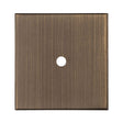 Carlisle Brass Cabinet Hardware Antique Brass / Cabinet Knob on Backplate Carlisle Brass - Square Cupboard knob Backplate