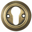 This is an image of a Carlisle Brass - Delamain Euro Profile Escutcheon - Florentine Bronze that is availble to order from Trade Door Handles in Kendal.