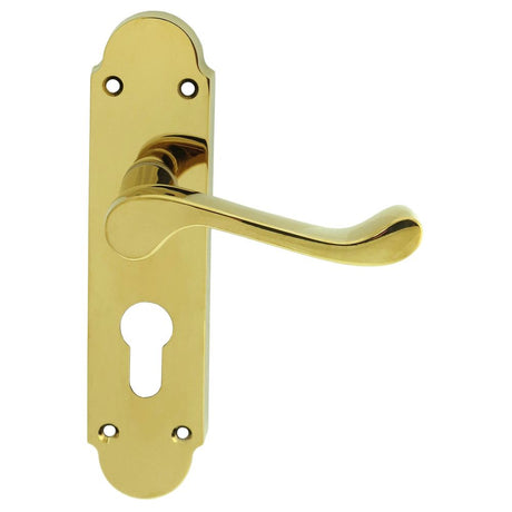 This is an image of a Carlisle Brass - Oakley Lever on Euro Lock Backplate - Polished Brass that is availble to order from Trade Door Handles in Kendal.