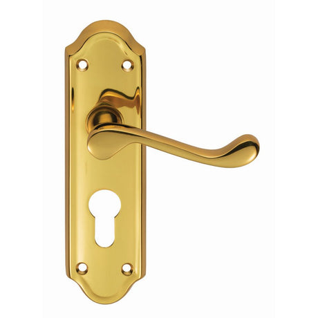 This is an image of a Carlisle Brass - Ashtead Lever on Euro Lock Backplate - Polished Brass that is availble to order from Trade Door Handles in Kendal.