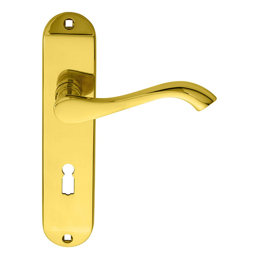 This is an image of a Carlisle Brass - Andros Lever on Lock Backplate - Polished Brass that is availble to order from Trade Door Handles in Kendal.