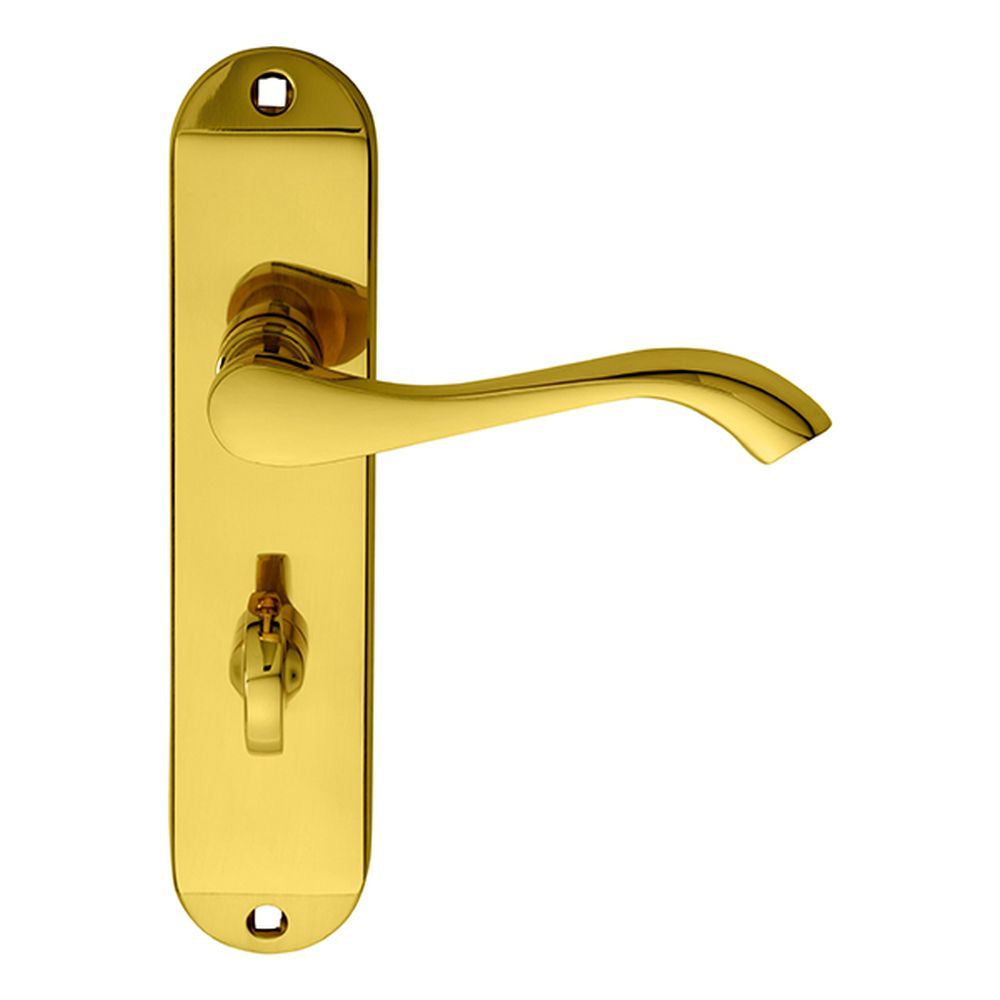 This is an image of a Carlisle Brass - Andros Lever on WC Backplate - Polished Brass that is availble to order from Trade Door Handles in Kendal.