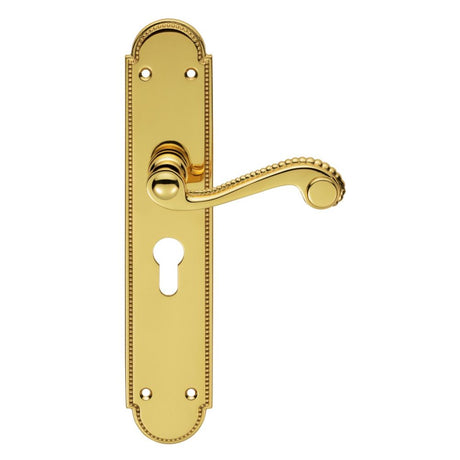 This is an image of a Carlisle Brass - Chesham Lever on Euro Lock Long Backplate - Polished Brass that is availble to order from Trade Door Handles in Kendal.