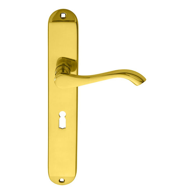 This is an image of a Carlisle Brass - Andros Lever on Long Lock Backplate - Polished Brass that is availble to order from Trade Door Handles in Kendal.