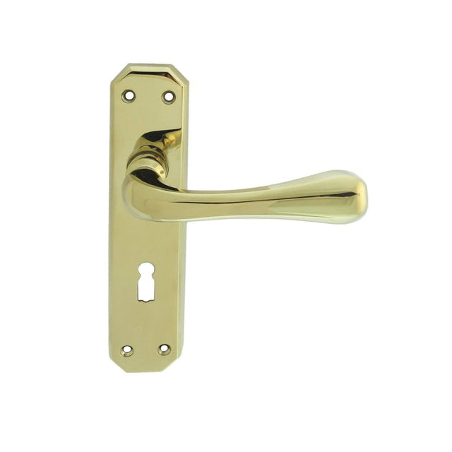 This is an image of a Carlisle Brass - Eden Lever on Lock Backplate - Stainless Brass that is availble to order from Trade Door Handles in Kendal.