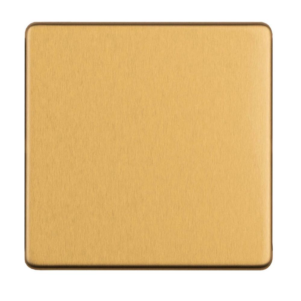 This is an image showing Eurolite Concealed 3mm Single Blank Plate - Satin Brass ecsb1bb available to order from trade door handles, quick delivery and discounted prices.