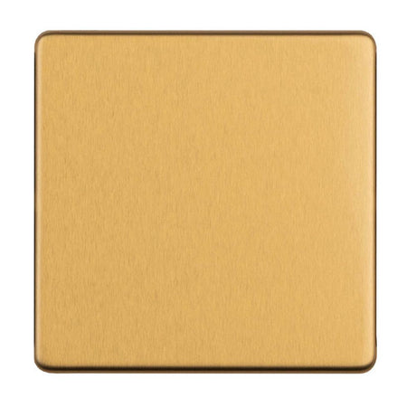 This is an image showing Eurolite Concealed 3mm Single Blank Plate - Satin Brass ecsb1bb available to order from trade door handles, quick delivery and discounted prices.