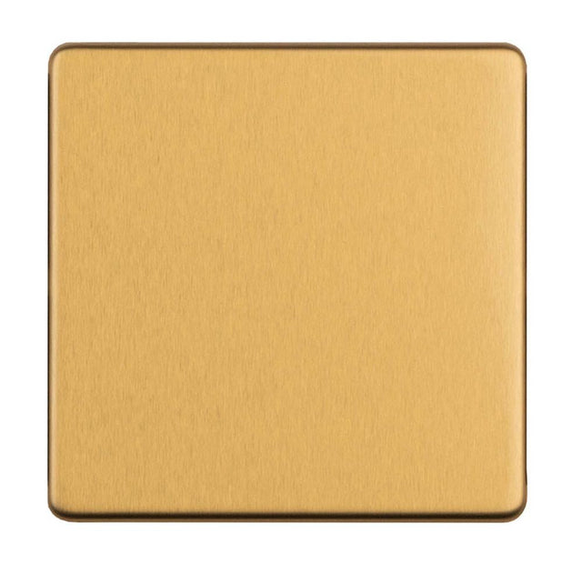 This is an image showing Eurolite Concealed 3mm Single Blank Plate - Satin Brass ecsb1bb available to order from trade door handles, quick delivery and discounted prices.