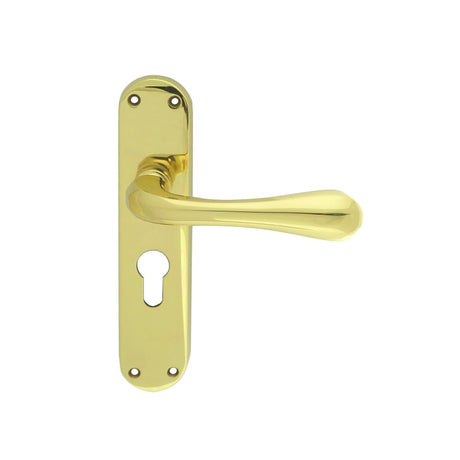 This is an image of a Manital - Astro Lever on Euro Lock Backplate - Polished Brass that is availble to order from Trade Door Handles in Kendal.