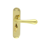 This is an image of a Manital - Astro Lever on WC Backplate - Polished Brass that is availble to order from Trade Door Handles in Kendal.