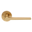 This is an image of a Carlisle Brass - Velino Lever on Round Rose - Satin Brass that is availble to order from Trade Door Handles in Kendal.