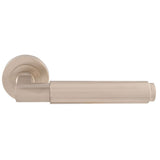 This is an image of a Carlisle Brass - Masano Lever On Rose - Satin Nickel that is availble to order from Trade Door Handles in Kendal.