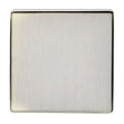 EuroLite Electrical Antique Brass / Single Blank Plate / (With Black Trim) Eurolite Concealed 3mm Single Blank Plate - Antique Brass (With Black Trim)