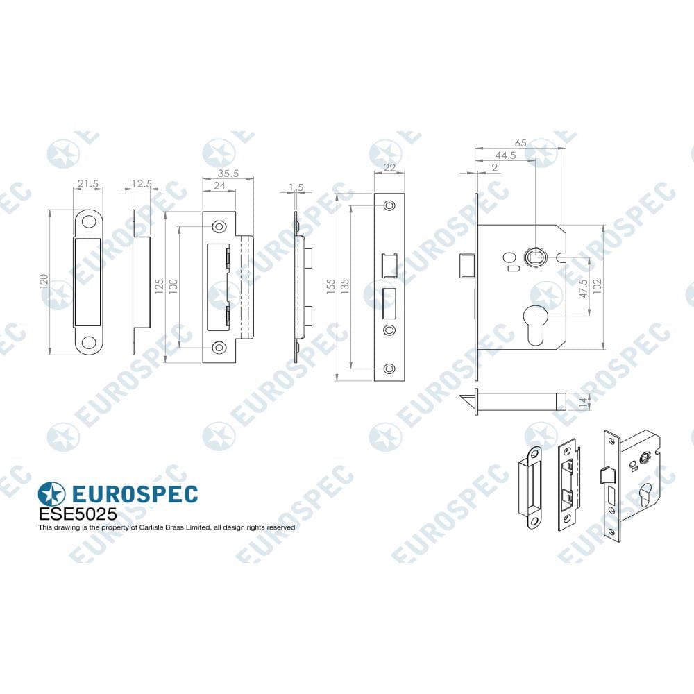 Eurospec Locks & Latches Electro Brass / Euro Profile Sashlocks / 2.5" / 65mm Eurospec - Easi-T Economy Euro Profile Sashlock 64mm - Electro Brassed