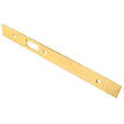 Eurospec Locks & Latches PVD / DIN Accessory Pack Eurospec - Forend Strike & Fixing Pack To Suit Din Latch-PVD-Square Forend