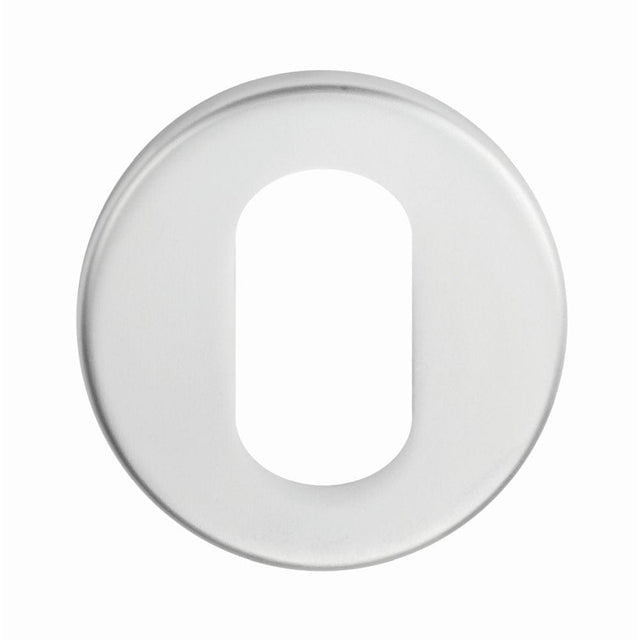 Eurospec Door Furniture Satin Stainless Steel / Oval Profile Escutcheons Eurospec - Oval Profile Escutcheon - Satin Stainless Steel