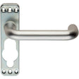 Eurospec Door Furniture Satin Anodised Aluminium / Euro Profile Lock Handles Eurospec - Safety Lever on a Inner Backplate - Satin Anodised Aluminium