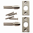 Eurospec Hinges Satin Stainless Steel / Piono Hinge Eurospec - Security Hinge Bolt Set - SSS