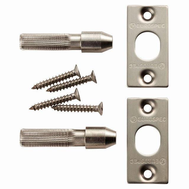 Eurospec Hinges Satin Stainless Steel / Piono Hinge Eurospec - Security Hinge Bolt Set - SSS