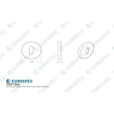 Eurospec Door Furniture Satin Stainless Steel / Mortice Key Profile Escutcheons Eurospec - Standard Lock Escutcheon - Satin Stainless Steel