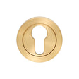 Eurospec Door Furniture Satin PVD / Euro Profile Escutcheons Eurospec - Steelworx SWL Escutcheon - Satin PVD