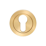 Eurospec Door Furniture Satin PVD / Euro Profile Escutcheons Eurospec - Steelworx SWL Escutcheon - Satin PVD