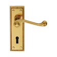 This is an image of a Carlisle Brass - Georgian Lever on Lock Backplate - Polished Brass that is availble to order from Trade Door Handles in Kendal.