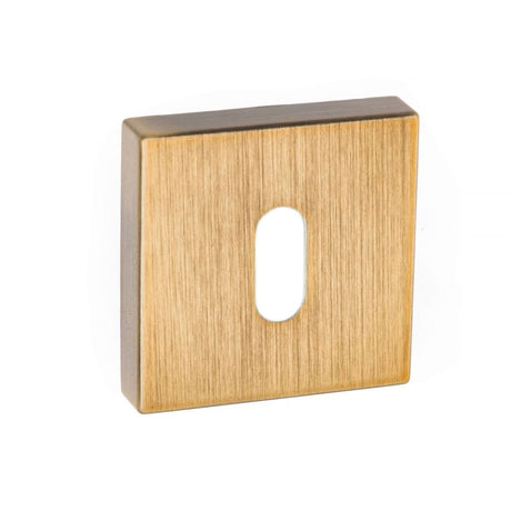 Forme Door Furniture Yester Bronze / Mortice Key Profile Escutcheons Forme Key Escutcheon on Minimal Square Rose - Yester Bronze
