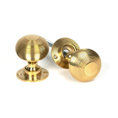 From The Anvil Door Furniture Polished Brass / Mortice/Rim Knobs From The Anvil - Polished Brass Heavy Beehive Mortice/Rim Knob Set