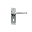 From The Anvil Door Furniture Polished Marine SS (316) / Std. Lock Handles From The Anvil - Polished Marine SS (316) Avon Lever Lock Set