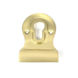 From The Anvil Door Furniture Satin Brass / Euro Profile Cylinder Pull From The Anvil - Satin Brass Euro Door Pull