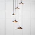 From The Anvil Electrical Smooth Copper / Cluster Pendants From The Anvil - Smooth Copper Flora Cluster Pendant in Elan Black