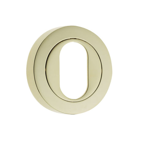 This is an image of a Frelan - Oval Profile Escutcheons - PVD Brass  that is availble to order from Trade Door Handles in Kendal.