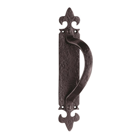 This is an image of a Ludlow - Offset Pull Handle on Backplate Right Hand - Black Antique  that is availble to order from Trade Door Handles in Kendal.