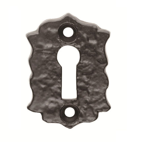 Ludlow Foundries Door Furniture Antique Black / Mortice Key Profile Escutcheons Ludlow - Floral Escutcheon - Black Antique