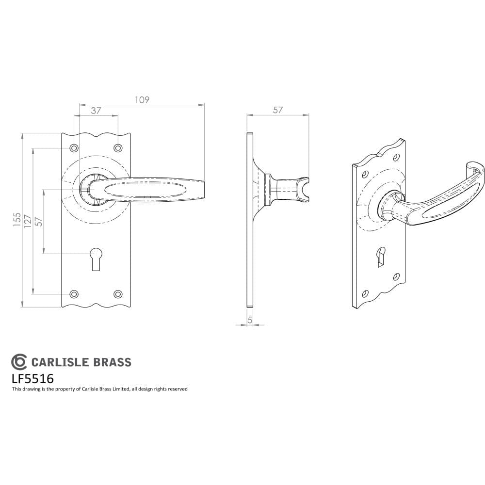 Ludlow Foundries Door Furniture Antique Black / Std. Lock Handles Ludlow - Traditional V Lever on Lock Backplate - Black Antique