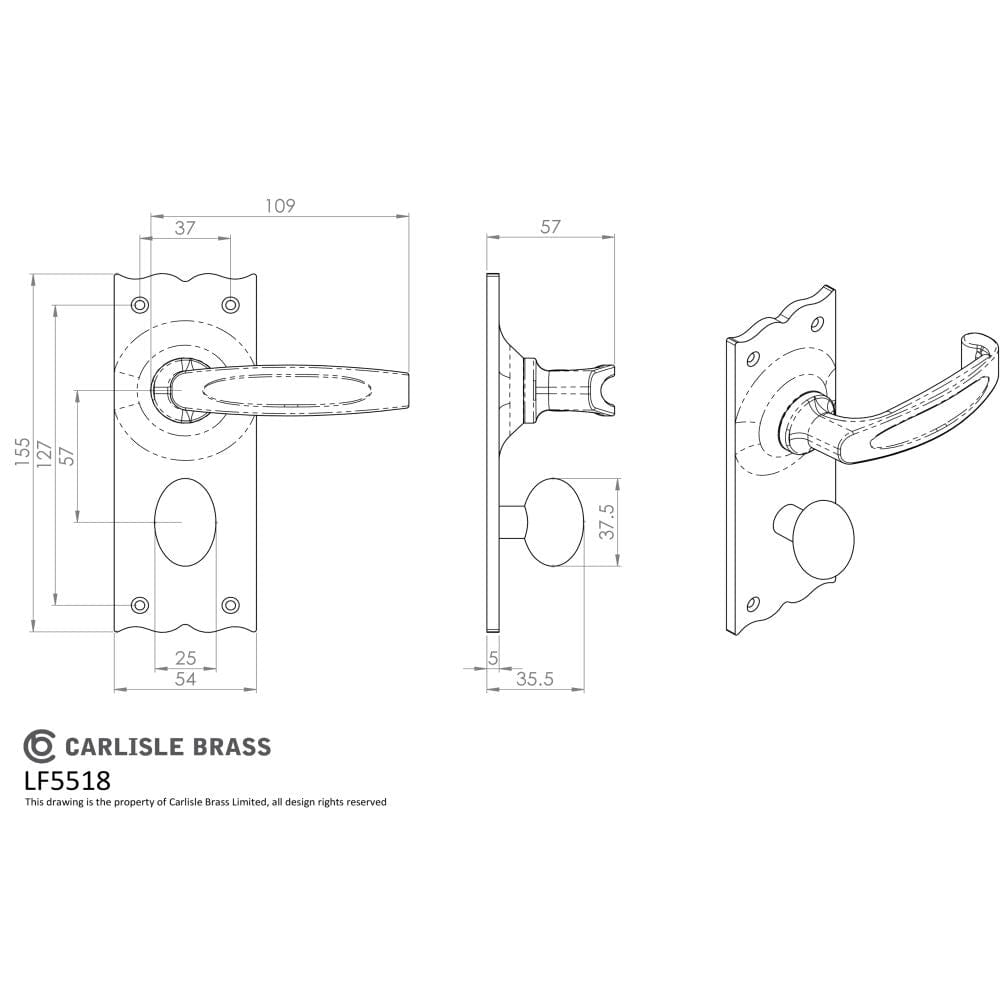 Ludlow Foundries Door Furniture Antique Black / Bathroom Lock Handles Ludlow - Traditional V Lever on WC Backplate - Black Antique