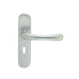 Manital Door Furniture Satin Chrome / Std. Lock Handles Manital - Ibra Lever on Lock Backplate - Satin Chrome