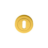 Manital Door Furniture Polished Brass / Mortice Key Profile Escutcheons Manital - Standard Profile Escutcheon - Polished Brass