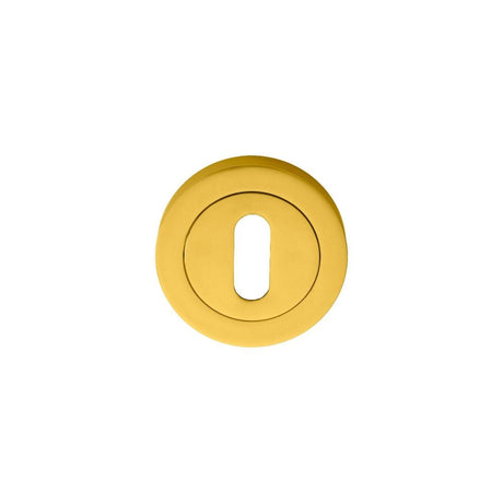 Manital Door Furniture Polished Brass / Mortice Key Profile Escutcheons Manital - Standard Profile Escutcheon - Polished Brass
