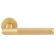 Manital Door Furniture Satin Brass / Round Rose Manital - Syntax Lever On round Rose - Satin Brass