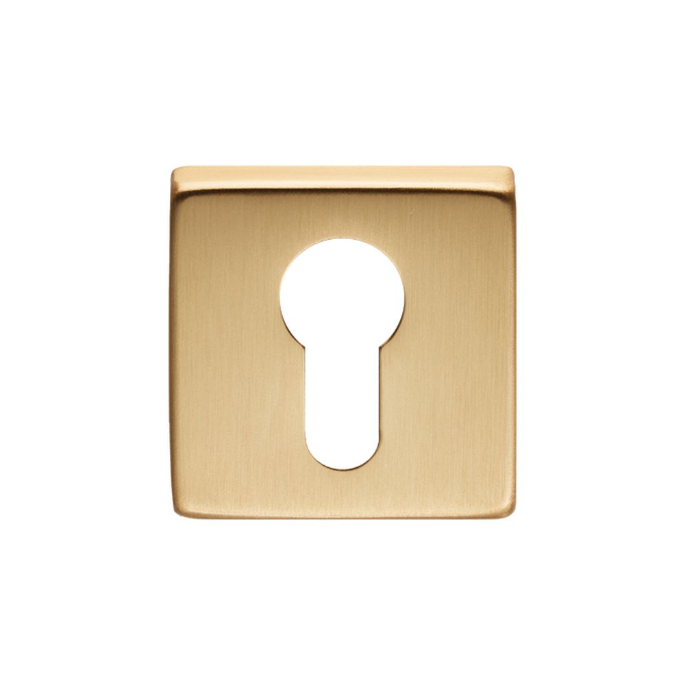 This is an image of a Manital - Square Euro Profile Escutcheon - Satin Brass that is availble to order from Trade Door Handles in Kendal.