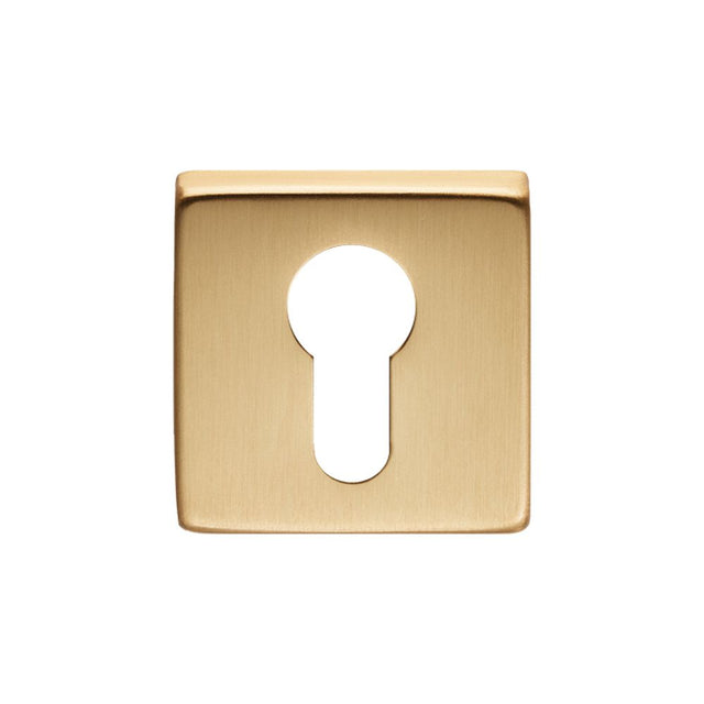 This is an image of a Manital - Square Euro Profile Escutcheon - Satin Brass that is availble to order from Trade Door Handles in Kendal.