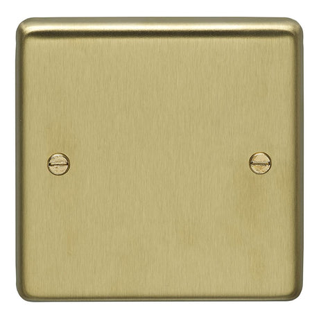 This is an image showing Eurolite Stainless Steel Single Blank Plate - Satin Brass (With Black Trim) sb1b available to order from trade door handles, quick delivery and discounted prices.