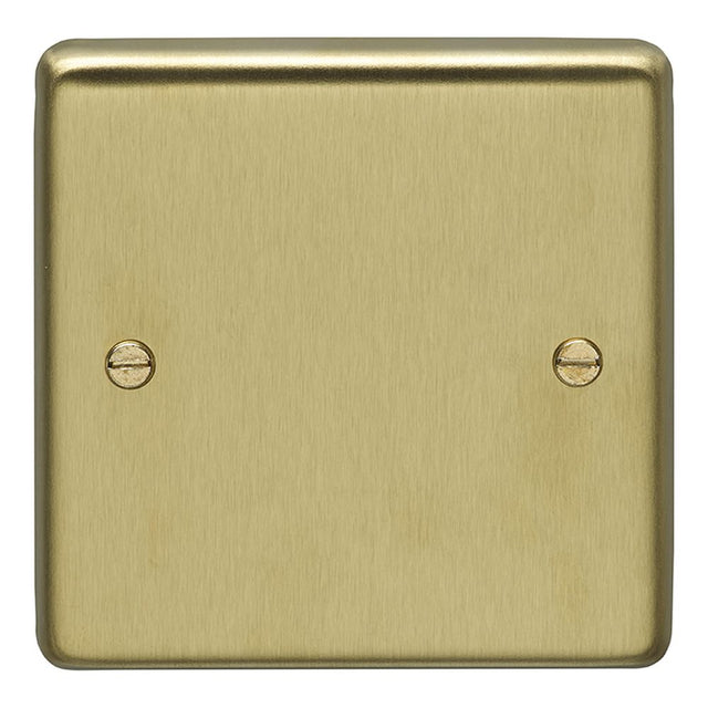 This is an image showing Eurolite Stainless Steel Single Blank Plate - Satin Brass (With Black Trim) sb1b available to order from trade door handles, quick delivery and discounted prices.