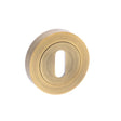 Senza Pari Door Furniture Weathered Antique Bronze / Mortice Key Profile Escutcheons Senza Pari Key Escutcheon on Round Rose - Weathered Antique Bronze